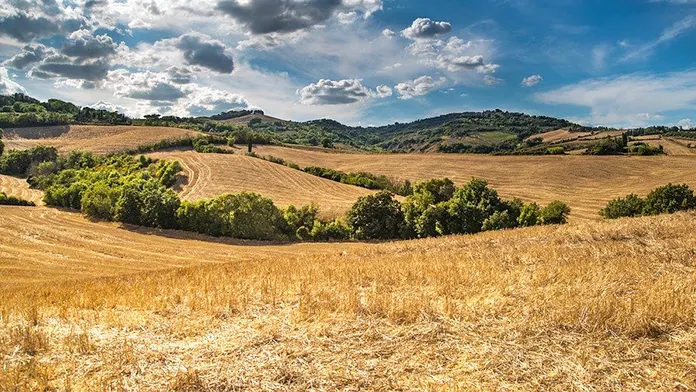 Incursiune în Toscana