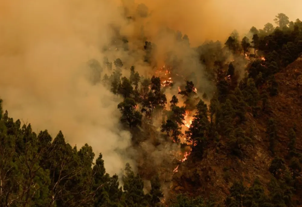 PESTE 2.000 DE PERSOANE EVACUATE ÎN SUDUL SPANIEI DIN CAUZA UNUI INCENDIU FORESTIER PUTERNIC