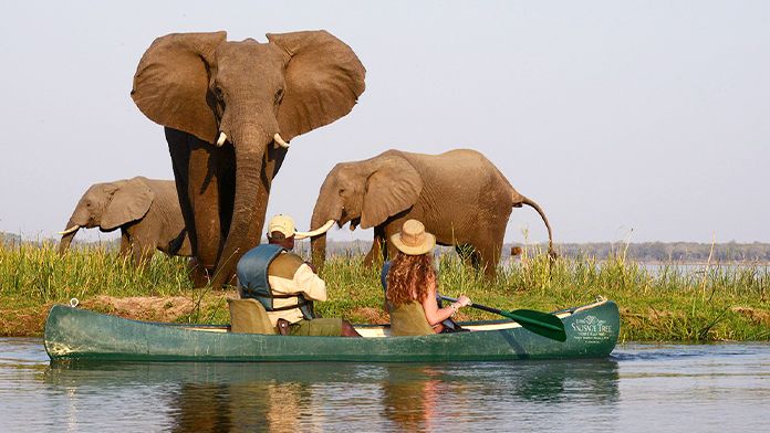 Safari african în Zambia