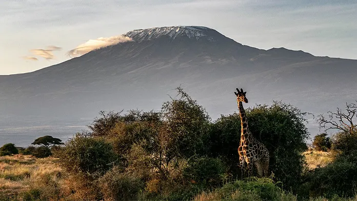 kilimanjaro_poza_repr_696x392