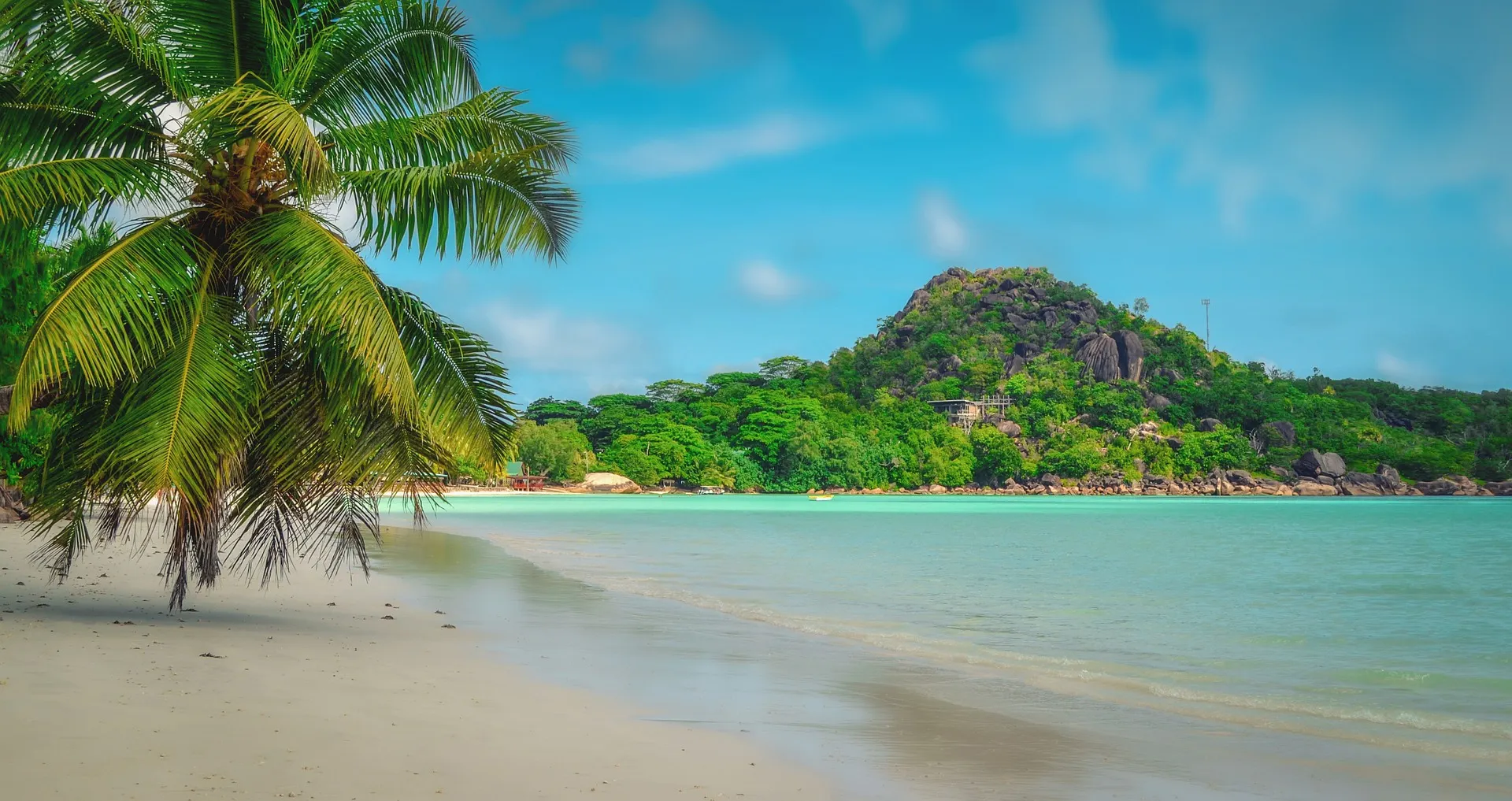 poza_repr_696x392