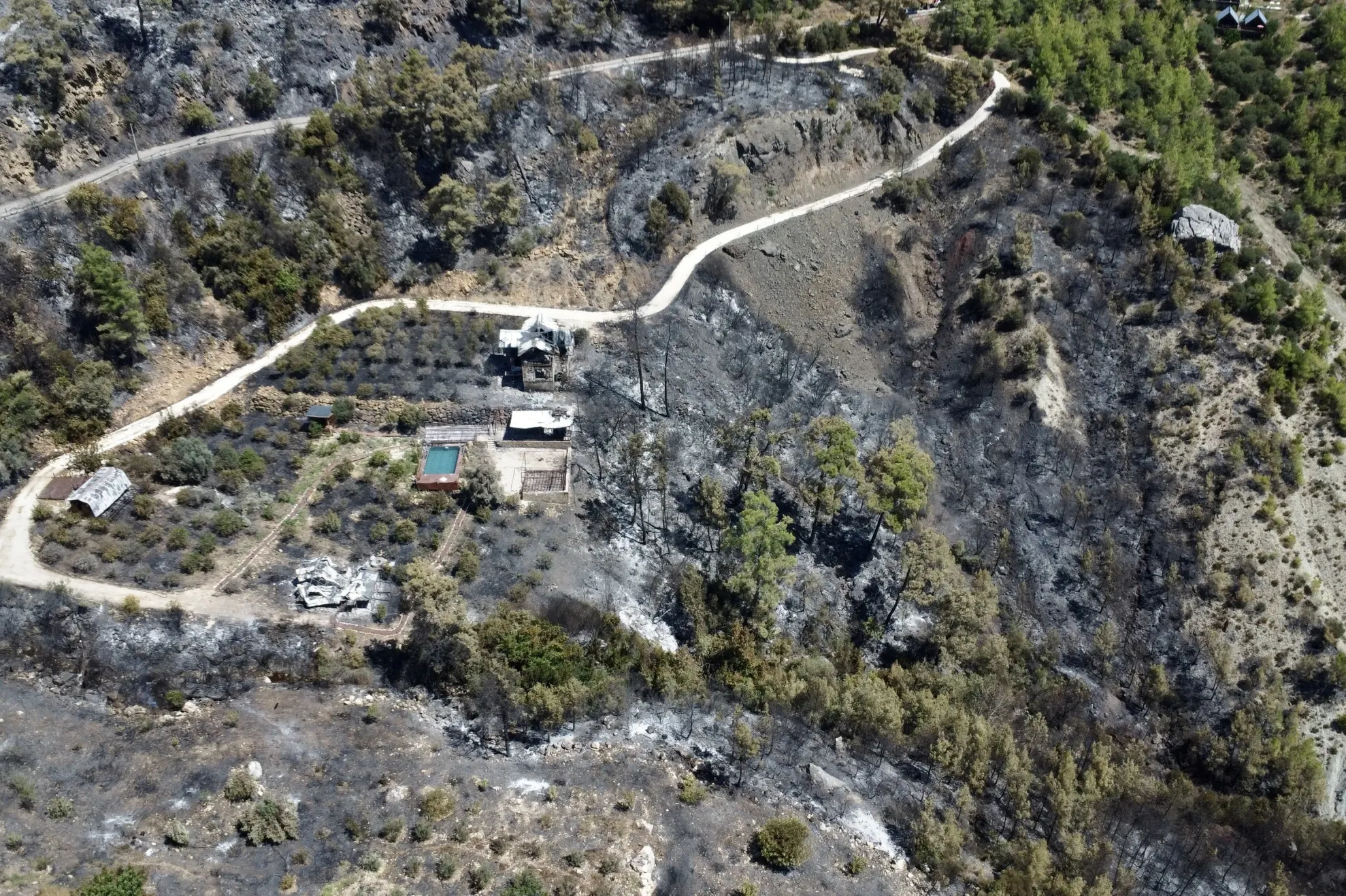 Incendii Turcia/ Profimedia 