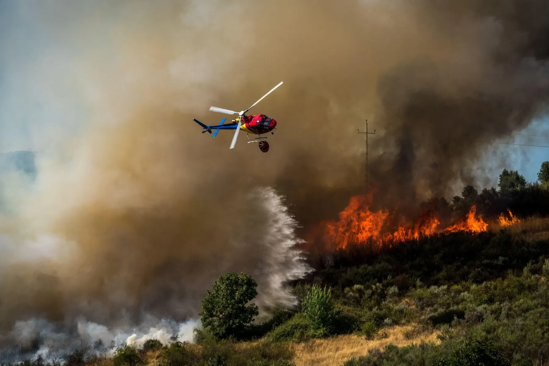 Incendiu vegetație Portugalia/ Profimedia