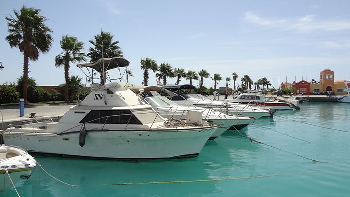 Pixabay_Poza_reprezentativa_696x392px