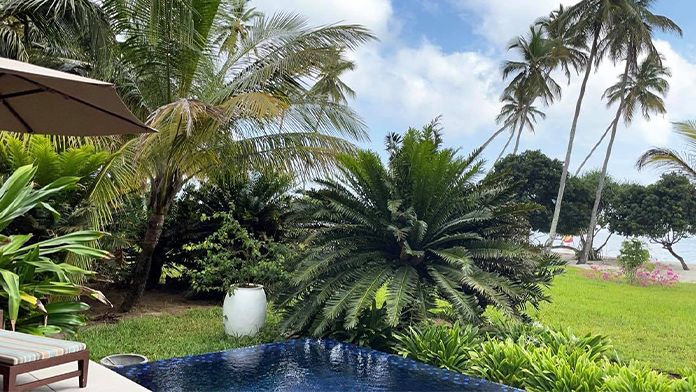 poza_repr_696x392