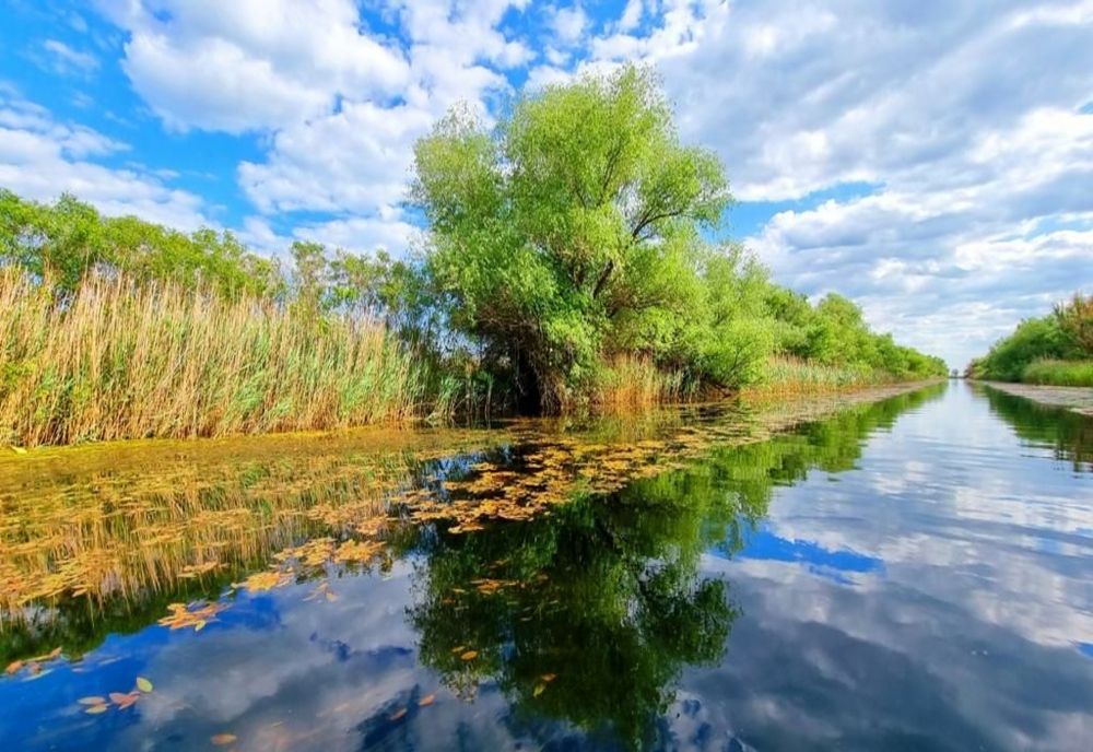 VIDEO FOTO  Delta Dunării luată cu asalt de mii turiști în primele luni ale anului