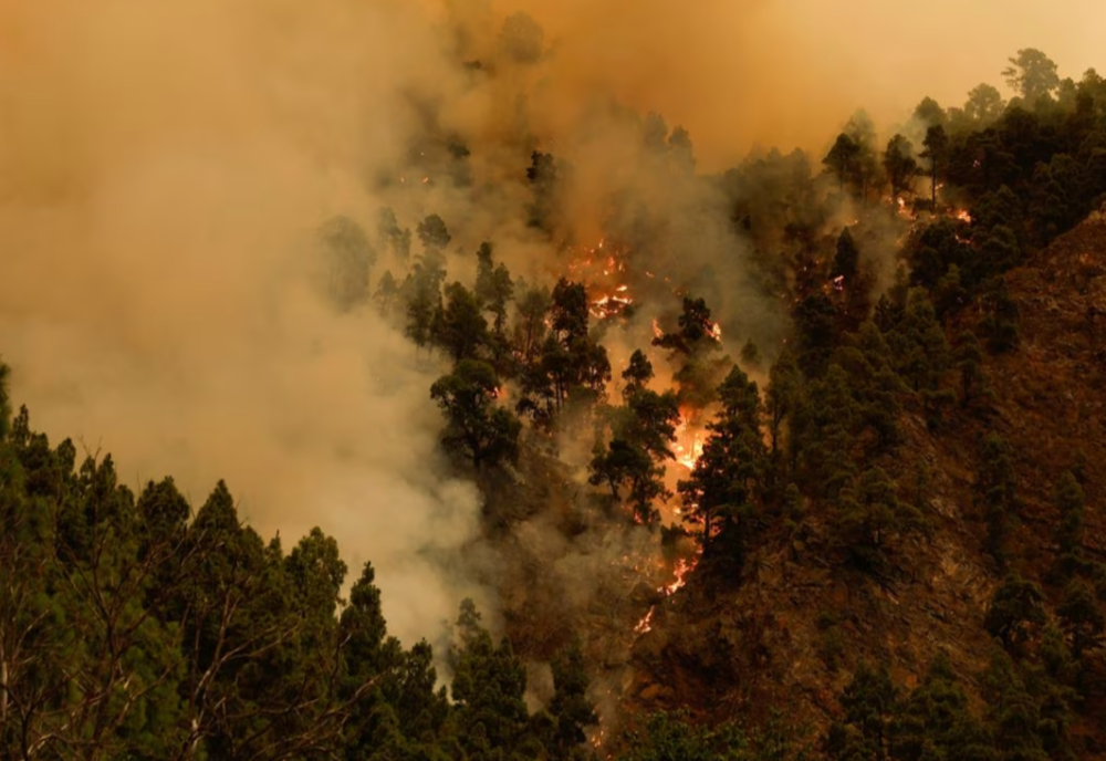 PESTE 2.000 DE PERSOANE EVACUATE ÎN SUDUL SPANIEI DIN CAUZA UNUI INCENDIU FORESTIER PUTERNIC