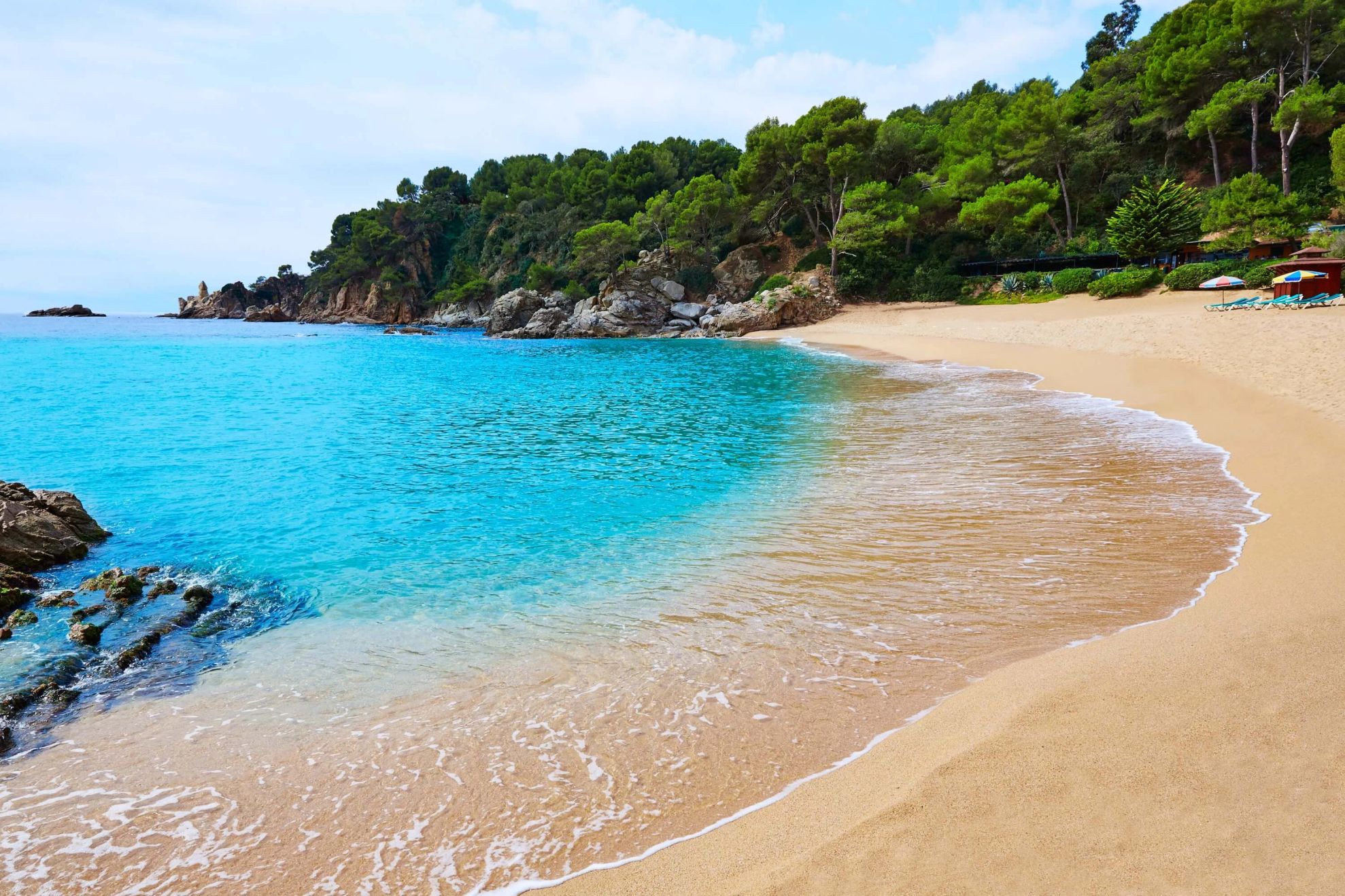 plajă