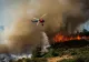 MAE: Atenționare de călătorie pentru Portugalia. Risc major de incendii de vegetație