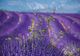 9 atracții din Provence